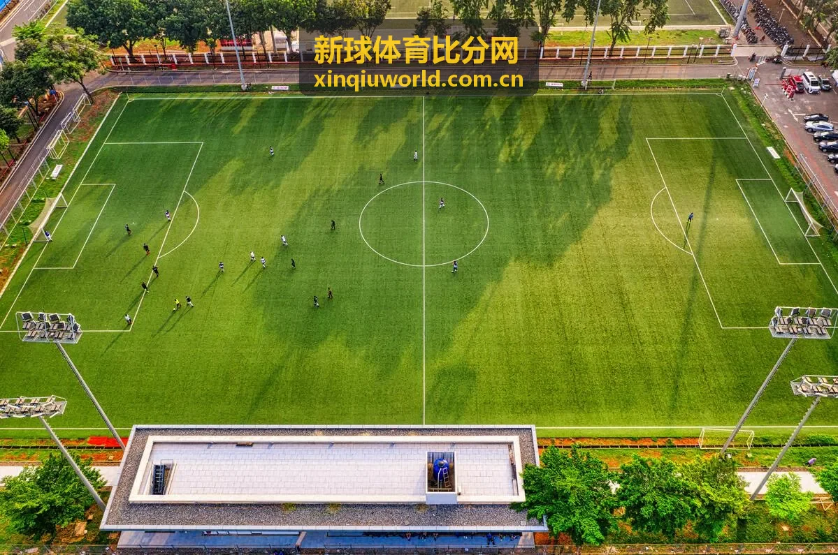 新球体育比分网篮球即时比分